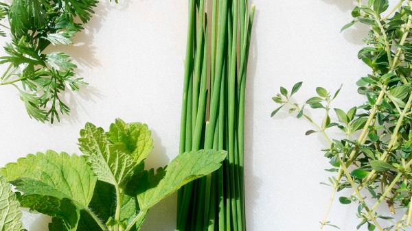 Qué deliciosas especias de cocina puedes cultivar en casa