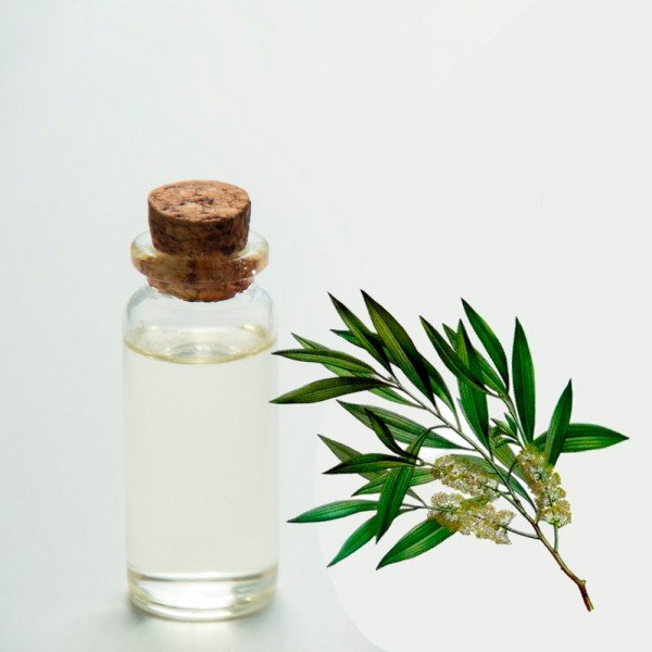 Para qué sirve el aceite del árbol de té. 22 increíbles usos del árbol de los 1000 remedios