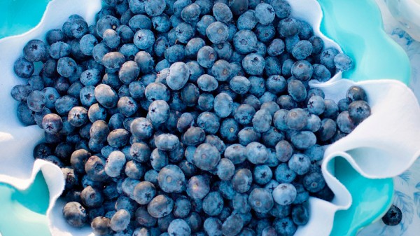 Cuáles son los increíbles beneficios de los arándanos: una superfruta