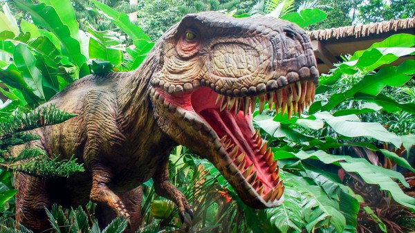 26 increíbles curiosidades de los dinosaurios que fascinarán a niños y adultos