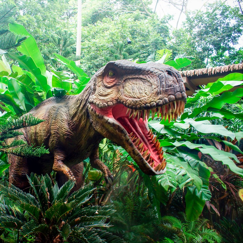 26 increíbles curiosidades de los dinosaurios que fascinarán a niños y adultos