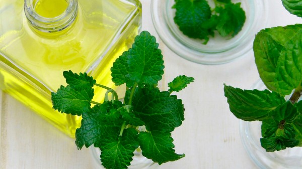 Qué aceites esenciales combaten la sinusitis y la congestión nasal