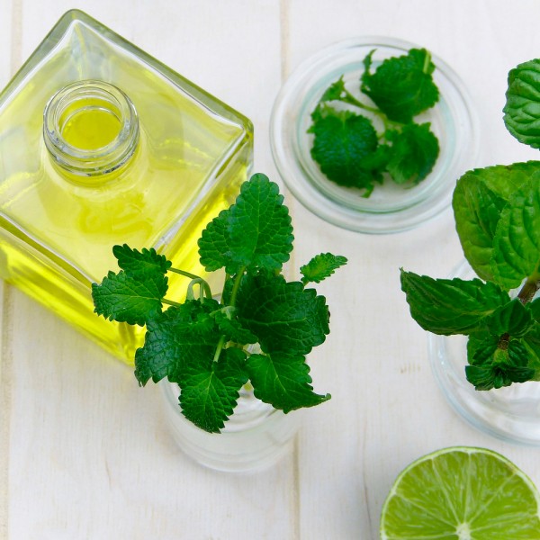 Qué aceites esenciales combaten la sinusitis y la congestión nasal