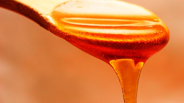 Cuáles son los mejores antibióticos naturales para combatir enfermedades bacterianas