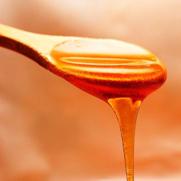 Cuáles son los mejores antibióticos naturales para combatir enfermedades bacterianas