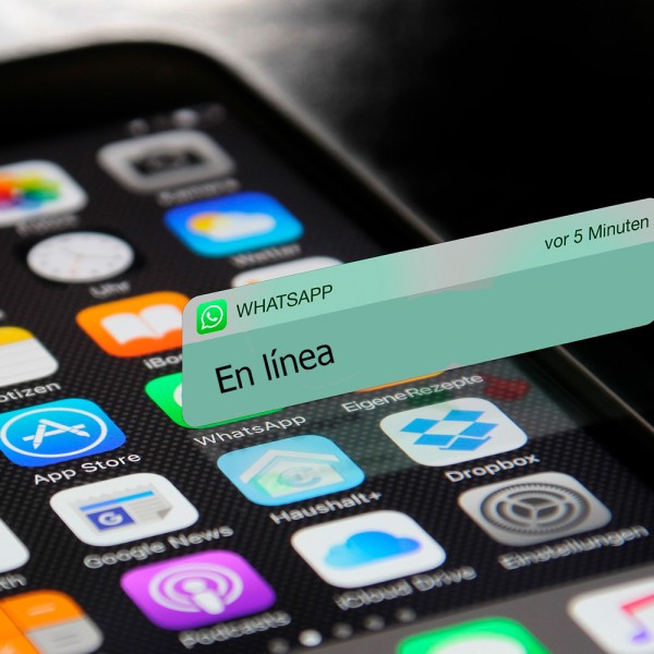 Cómo no aparecer en línea en WhatsApp para proteger tu privacidad