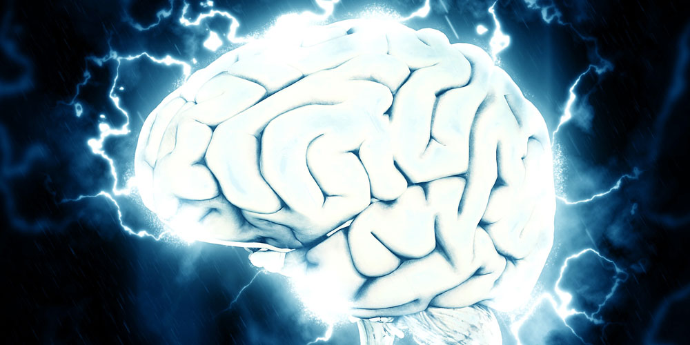 El cerebro tras la muerte