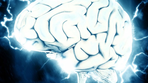 Qué le ocurre al cerebro después de la muerte