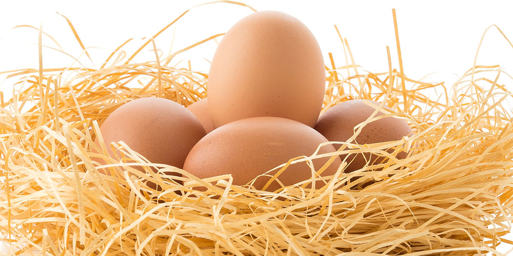 por qué es bueno tomar 2 huevos al día