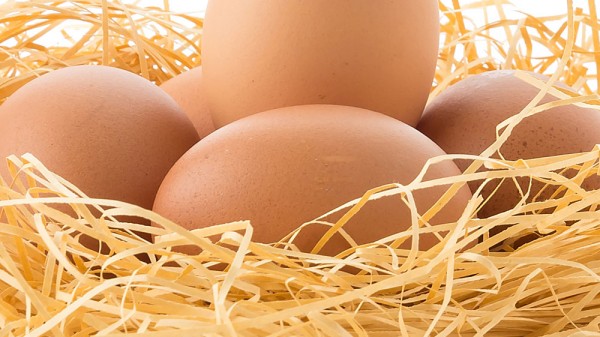 Qué cosas le suceden al cuerpo si comes 2 huevos al día