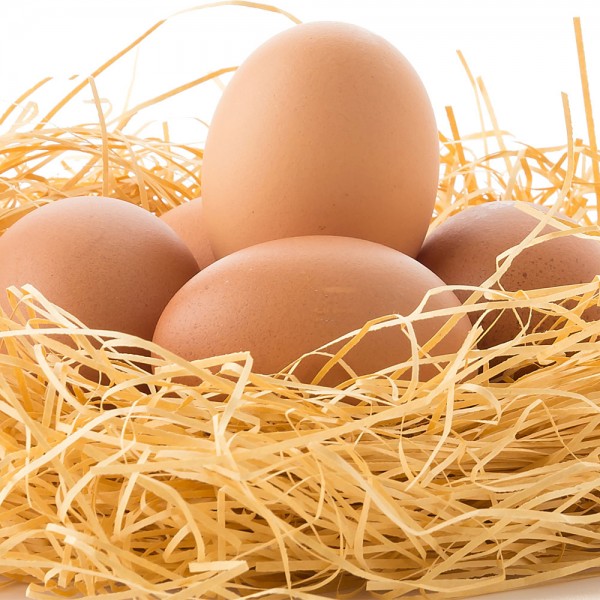 Qué cosas le suceden al cuerpo si comes 2 huevos al día