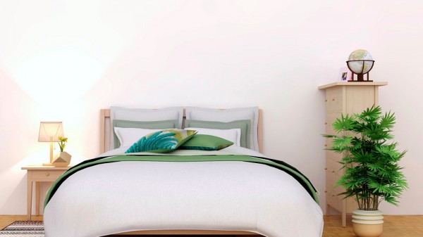 Qué plantas pueden ponerse en el dormitorio para favorecer el descanso