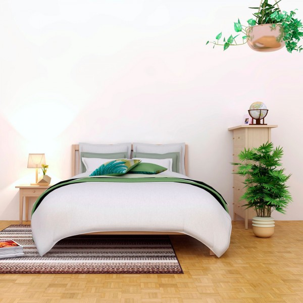 Qué plantas pueden ponerse en el dormitorio para favorecer el descanso