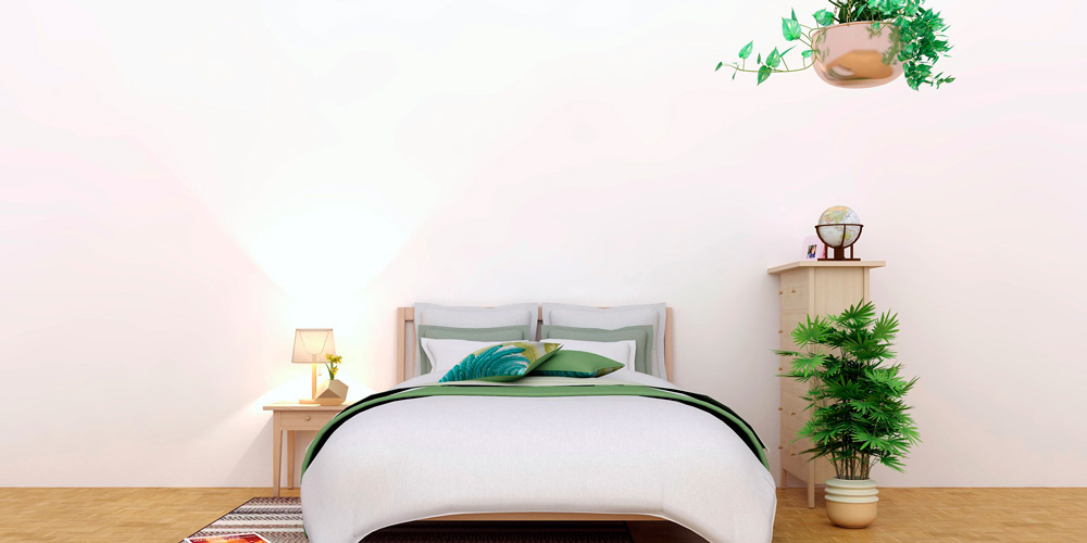 plantas para el dormitorio