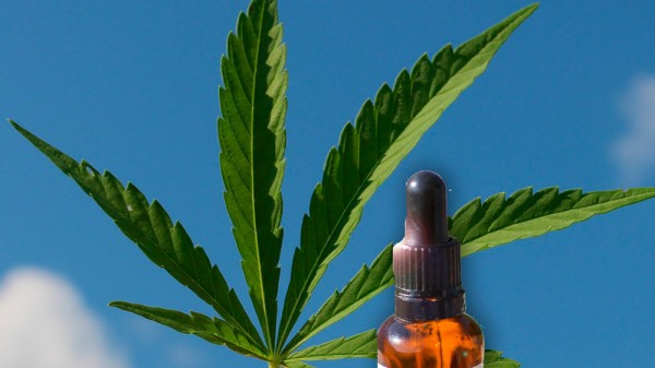 Qué es el aceite de CBD y qué usos tiene el aceite de cannabis