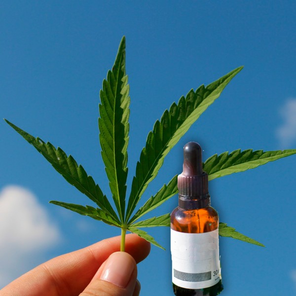 Qué es el aceite de CBD y qué usos tiene el aceite de cannabis