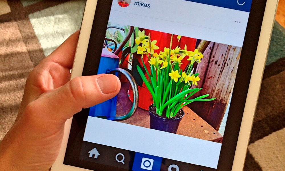 por qué instagram borra mis hashtags