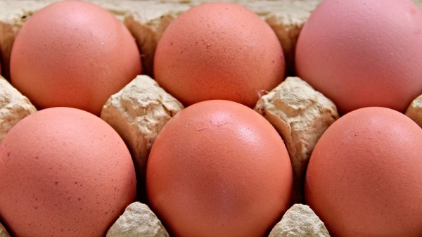 Dónde se deben guardar los huevos: ¿nevera o despensa?