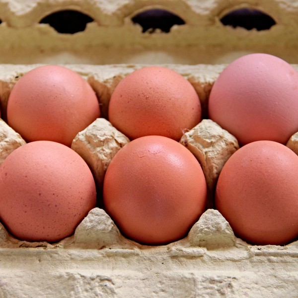 Dónde se deben guardar los huevos: ¿nevera o despensa?