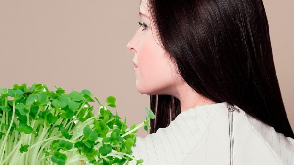 Qué plantas medicinales pueden fortalecer el cabello