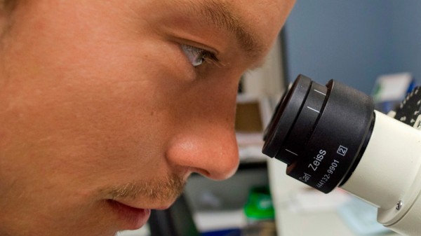 Por qué estudiar biotecnología, una carrera del futuro