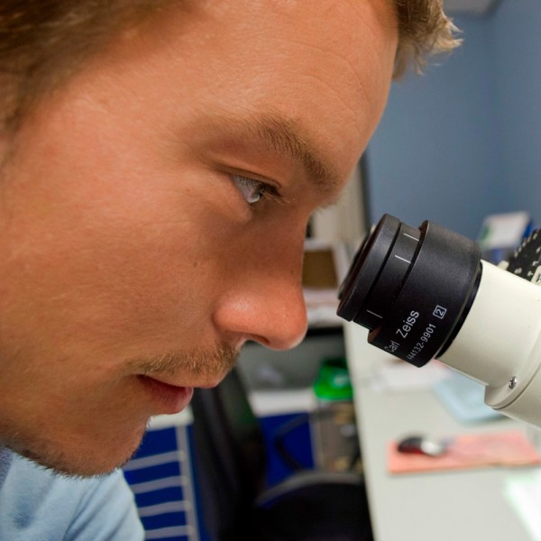 Por qué estudiar biotecnología, una carrera del futuro