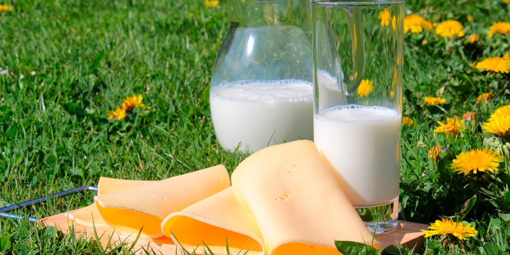 Alimentos para la osteoporosis