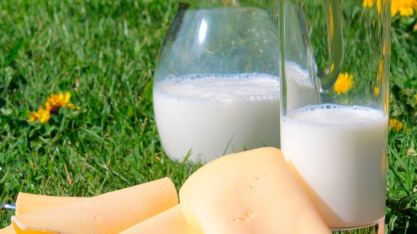 Qué alimentos combaten la osteoporosis y mejoran la salud de tu huesos