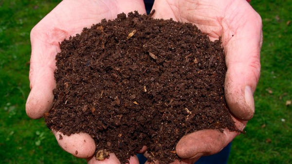Cómo abonar las plantas de forma correcta