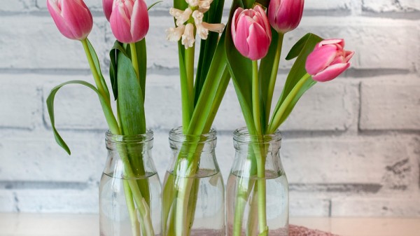 Cómo limpiar tus flores y plantas artificiales