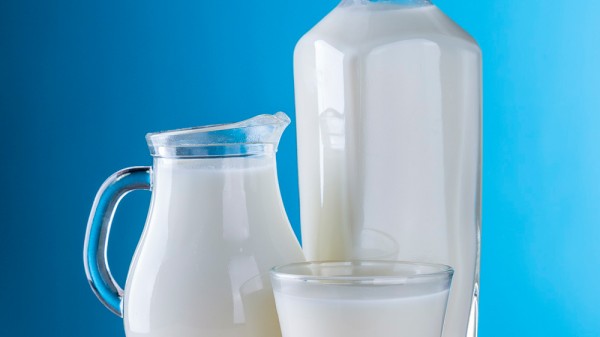 Cuáles son las ventajas e inconvenientes de la leche de vaca