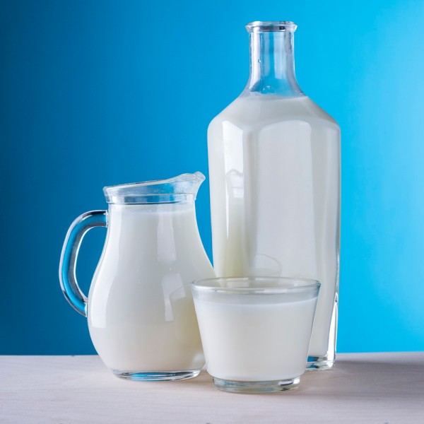 Cuáles son las ventajas e inconvenientes de la leche de vaca