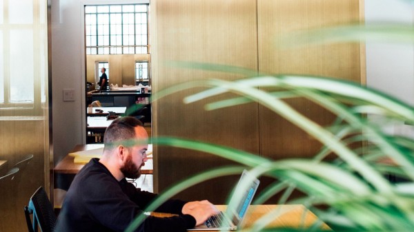 Por qué es bueno decorar con plantas la oficina