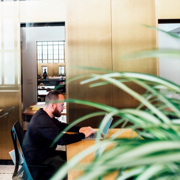 Por qué es bueno decorar con plantas la oficina