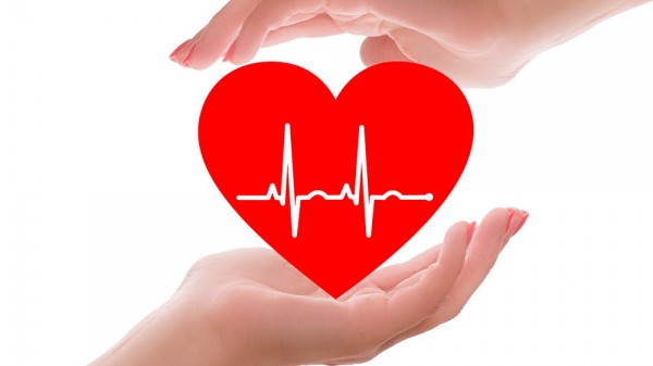 29 increíbles curiosidades del corazón humano que desconoces