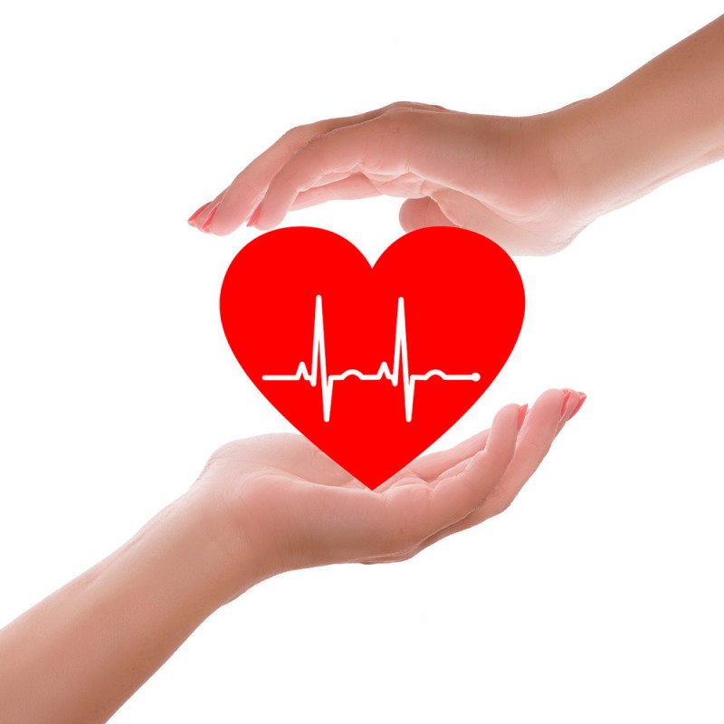 29 increíbles curiosidades del corazón humano que desconoces