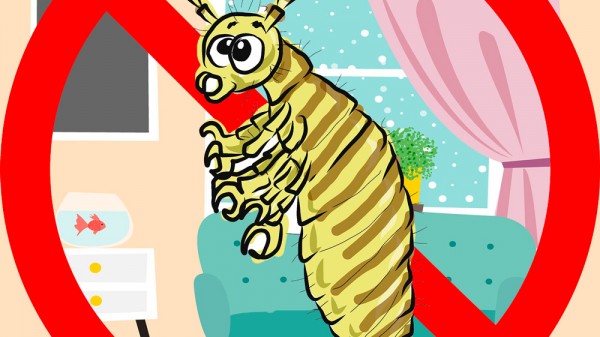 Cómo eliminar los piojos en casa a fondo (consejos de limpieza)