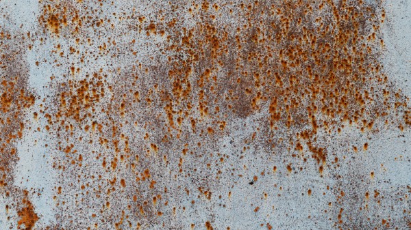 Cómo quitar las manchas de moho de la pared