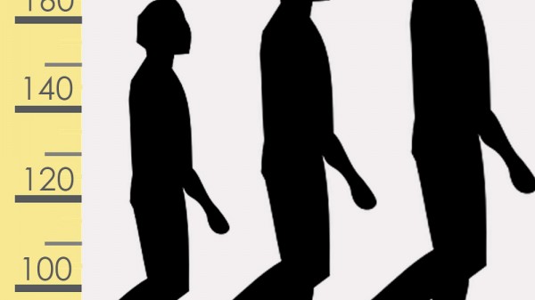 Por qué el ser humano es más alto en los últimos años que en toda la antigüedad