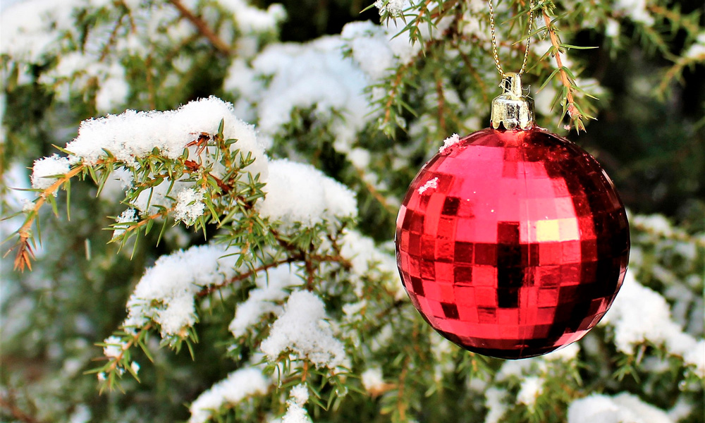 decorar el jardín en navidad