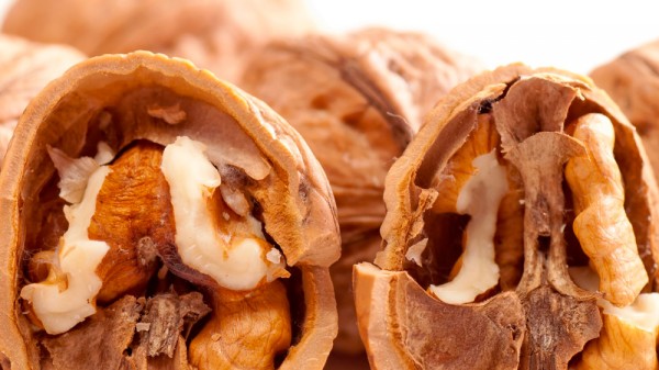 Qué propiedades tienen las nueces. Alimentos de otoño e invierno