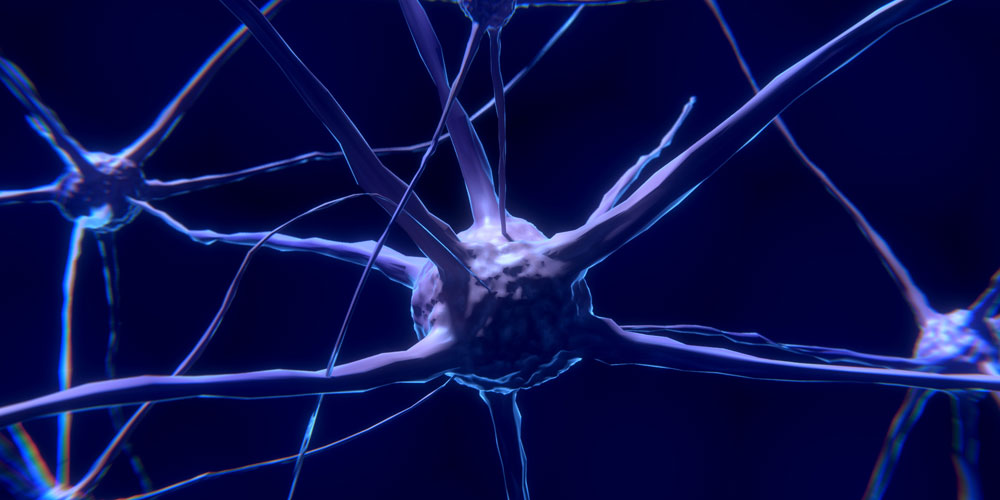 Qué es la serotonina y cómo actúa en cuerpo y mente