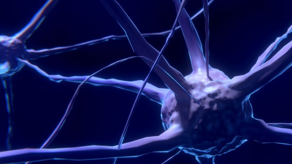 Serotonina: cómo actúa esta hormona sobre el cuerpo y el estado de ánimo