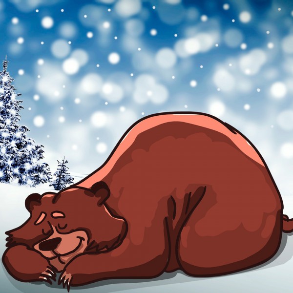 Hibernación: ¿qué animales hibernan en invierno?