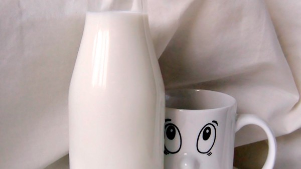 4 lácteos bajos en grasa que son buenos para tu salud