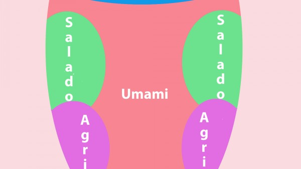 Qué es el umami. El quinto sabor y el más desconocido