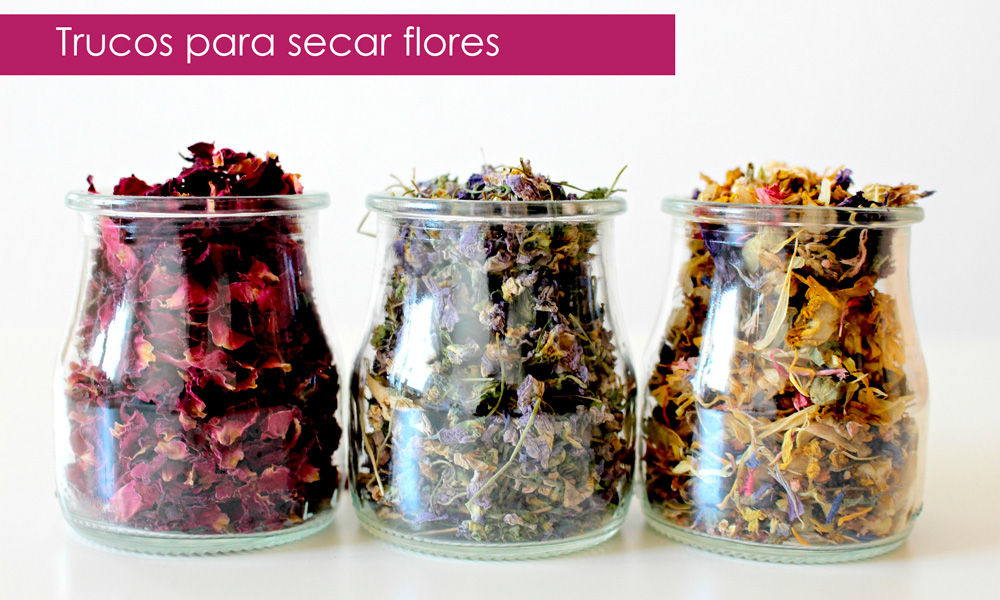 como secar flores