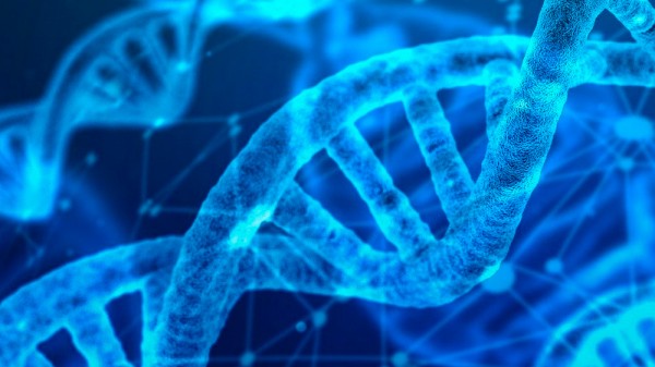 19 preguntas de Biología (con respuestas) para poner a prueba tus conocimientos
