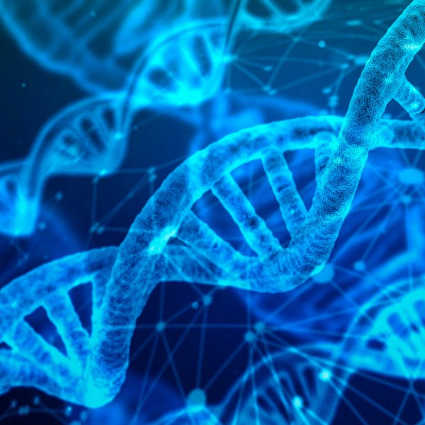 39 preguntas de Biología (con respuestas) para poner a prueba tus conocimientos