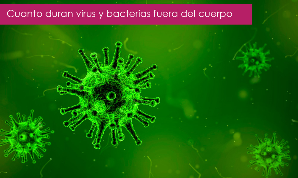 cuánto viven bacterias y virus